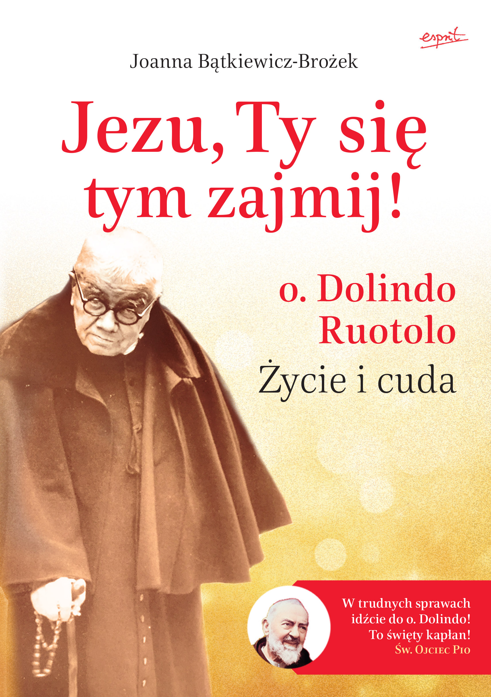 Image of Jezu, Ty się tym zajmij! O. Dolindo Ruotolo. Życie i cuda