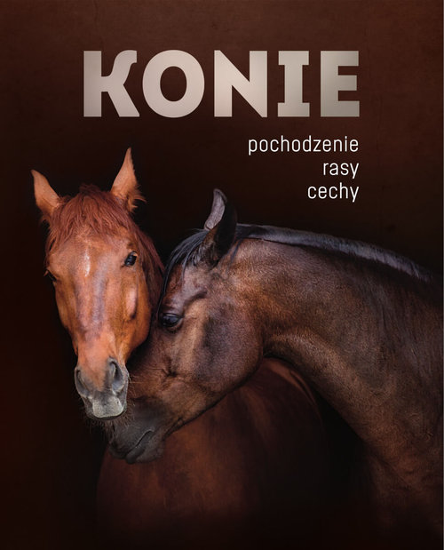 Image of Konie. Pochodzenie, rasy, cechy
