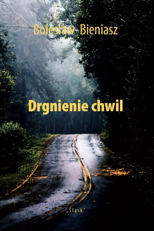 Image of Drgnienie chwil