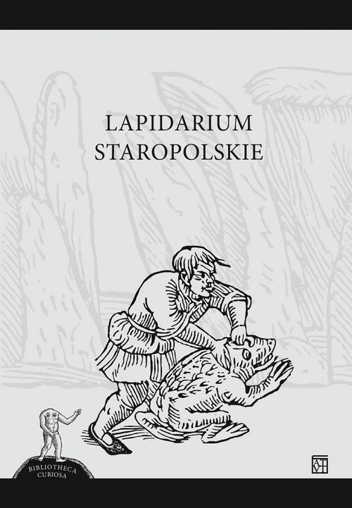 Image of Lapidarium Staropolskie