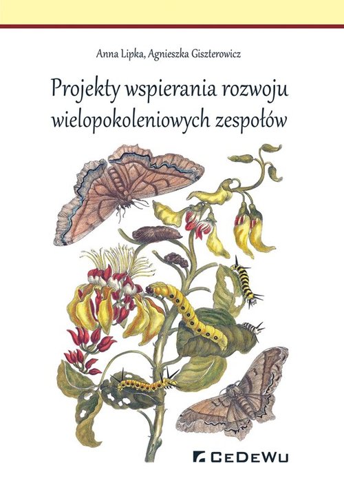Image of Projekty wspierania rozwoju wielopokoleniowych zespołów