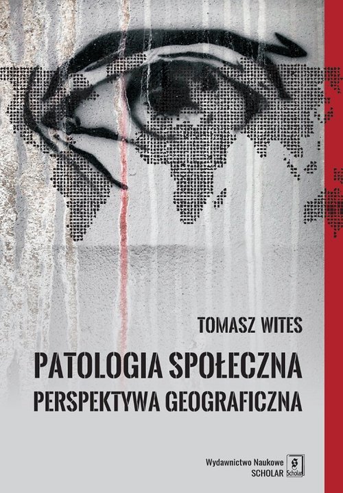 Image of Patologia społeczna Perspektywa geograficzna