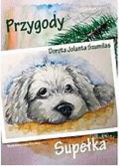 Image of Przygody Supełka