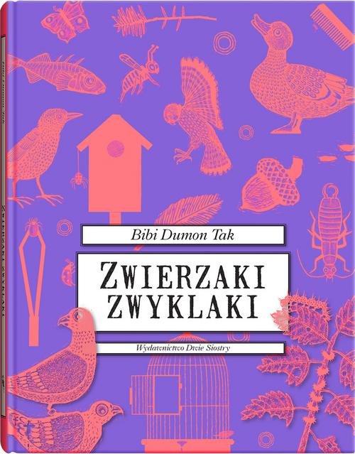 Image of Zwierzaki zwyklaki