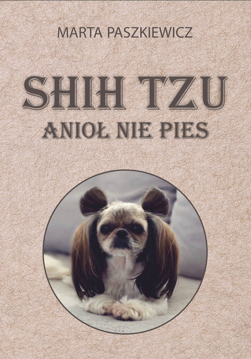 Image of Shih tzu anioł nie pies