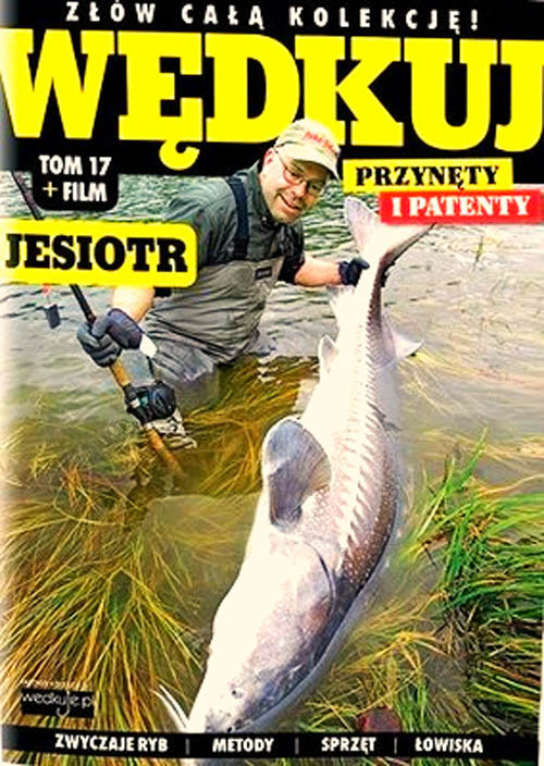 Image of Wędkuj. Przynęty i patenty. Tom 17 + film. Jesiotr Złów całą kolekcję. Zwyczaje ryb. Metody. Sprzęt. Łowiska (Kolekcja Edipresse)