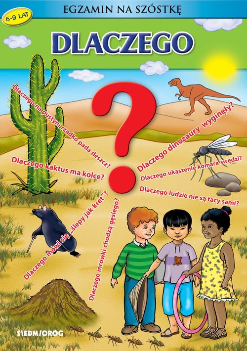 Image of Dlaczego? Egzamin na szóstkę