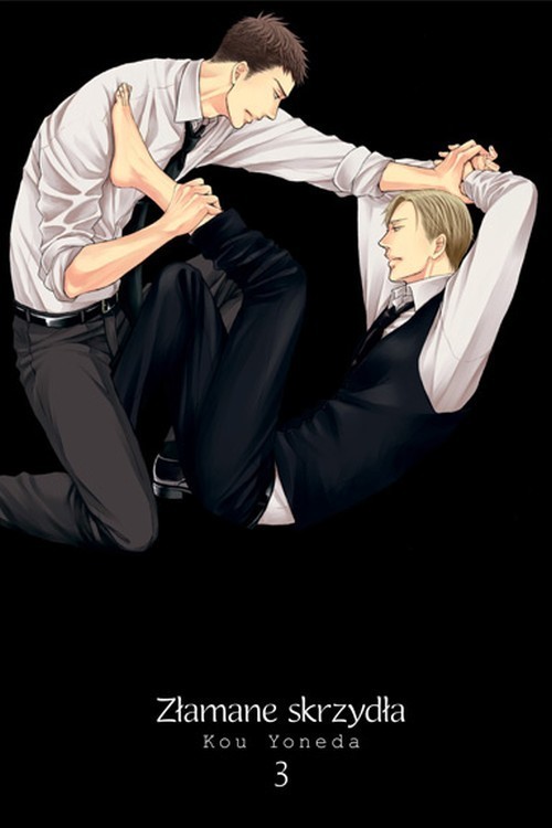 Image of Złamane skrzydła 3