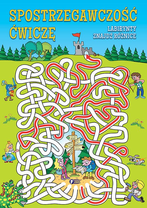 Image of Spostrzegawczość ćwiczę Labirynty znajdź różnice