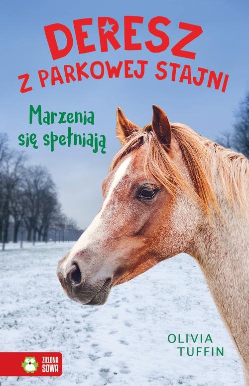Image of Deresz z parkowej stajni Marzenia się spełniają