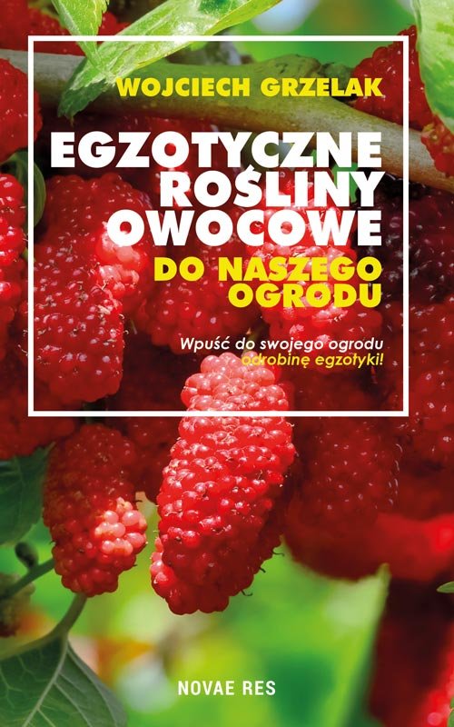 Image of Egzotyczne rośliny owocowe do naszego ogrodu