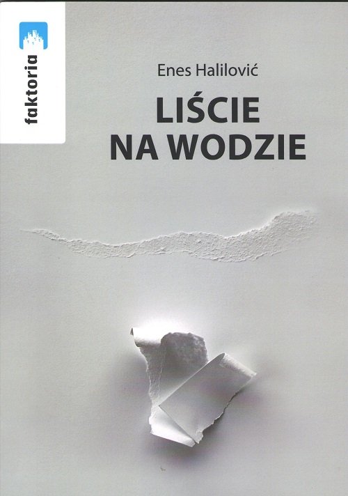 Image of Liście na wodzie