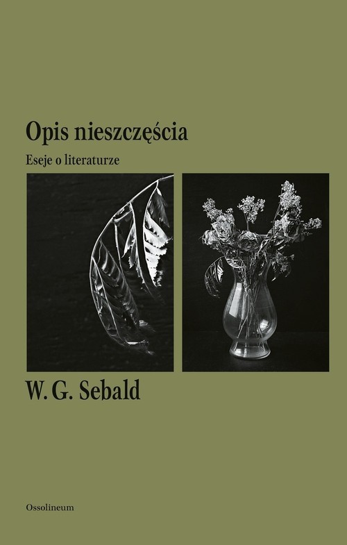 Image of Opis nieszczęścia