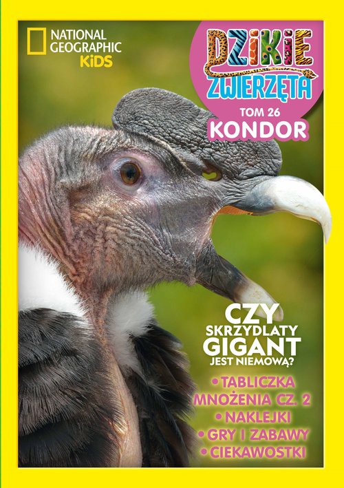 Image of Dzikie Zwierzęta. 26 Kondor