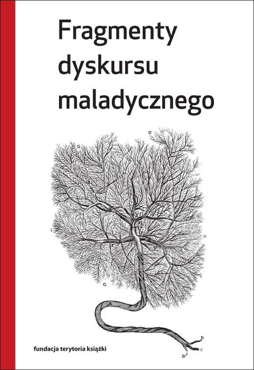 Image of Fragmenty dyskursu maladycznego