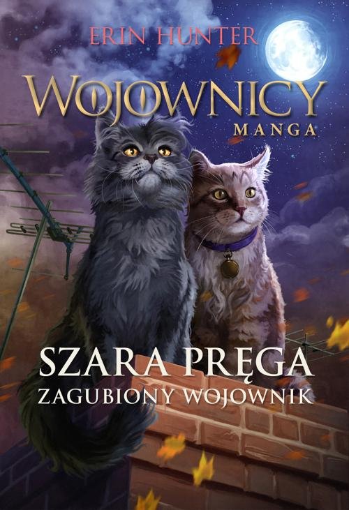 Image of Szara Pręga Zagubiony wojownik Wojownicy Manga IV