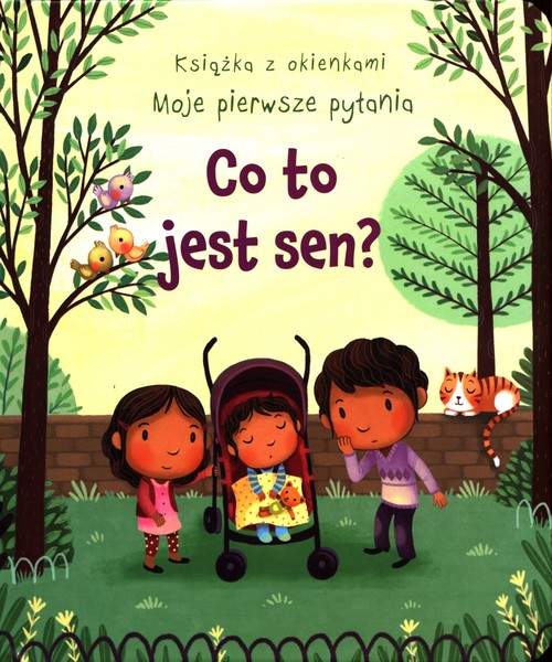 Image of Książka z okienkami Moje pierwsze pytania Co to jest sen?