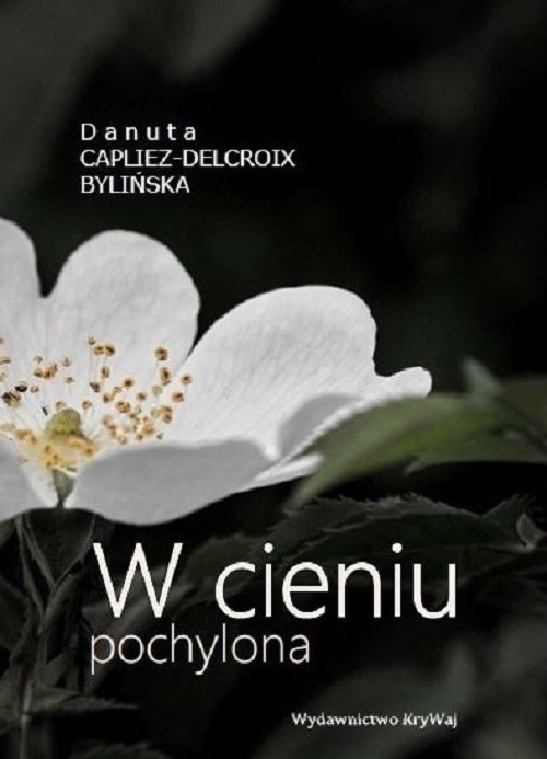 Image of W cieniu pochylona