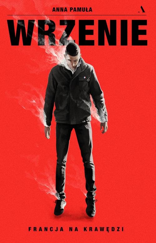 Image of Wrzenie. Francja na krawędzi