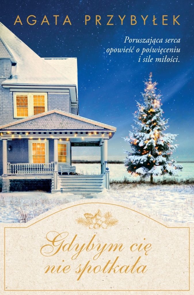 Image of Gdybym cię nie spotkała