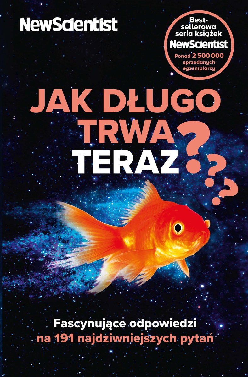 Image of Jak długo trwa teraz?