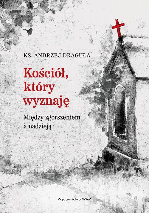 Image of Kościół który wyznaję Między zgorszeniem a nadzieją