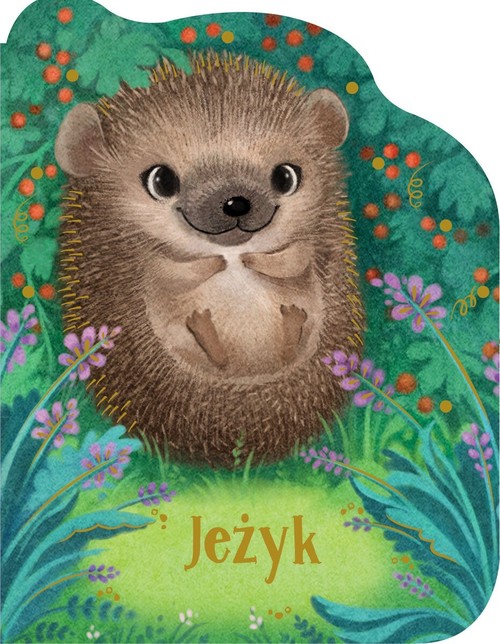 Image of Jeżyk