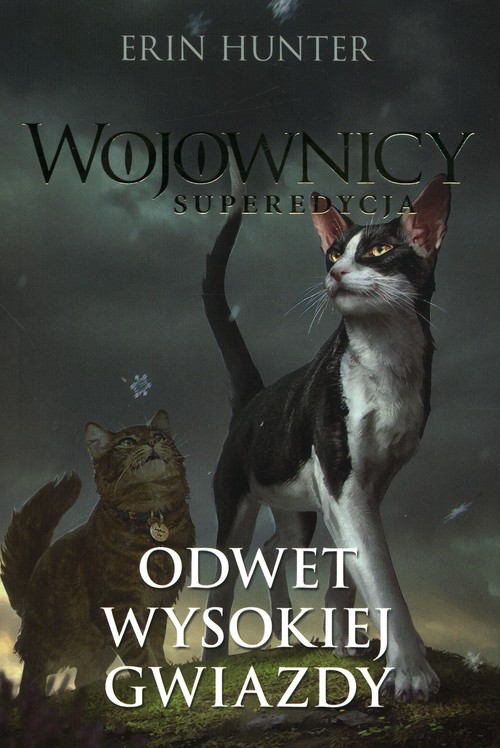 Image of Wojownicy Superedycja Odwet wysokiej gwiazdy