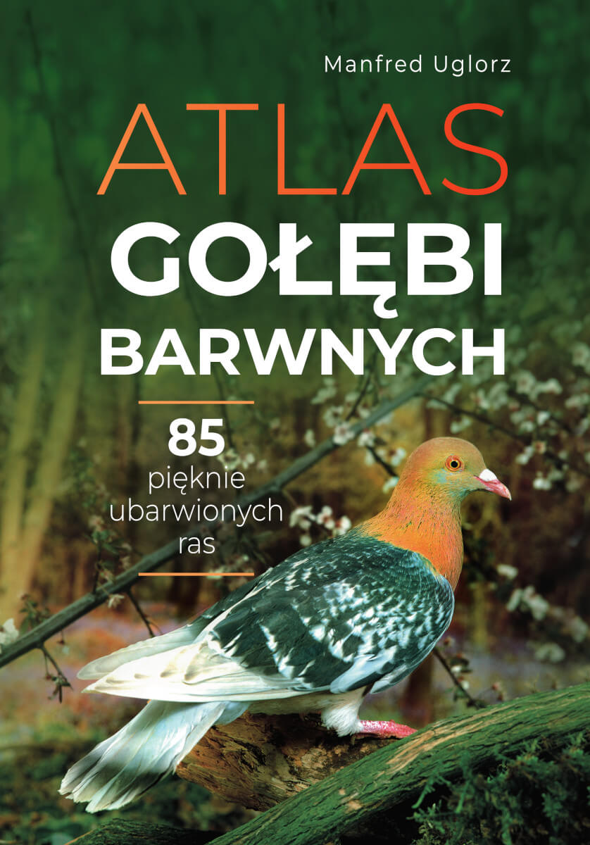 Image of Atlas gołębi barwnych
