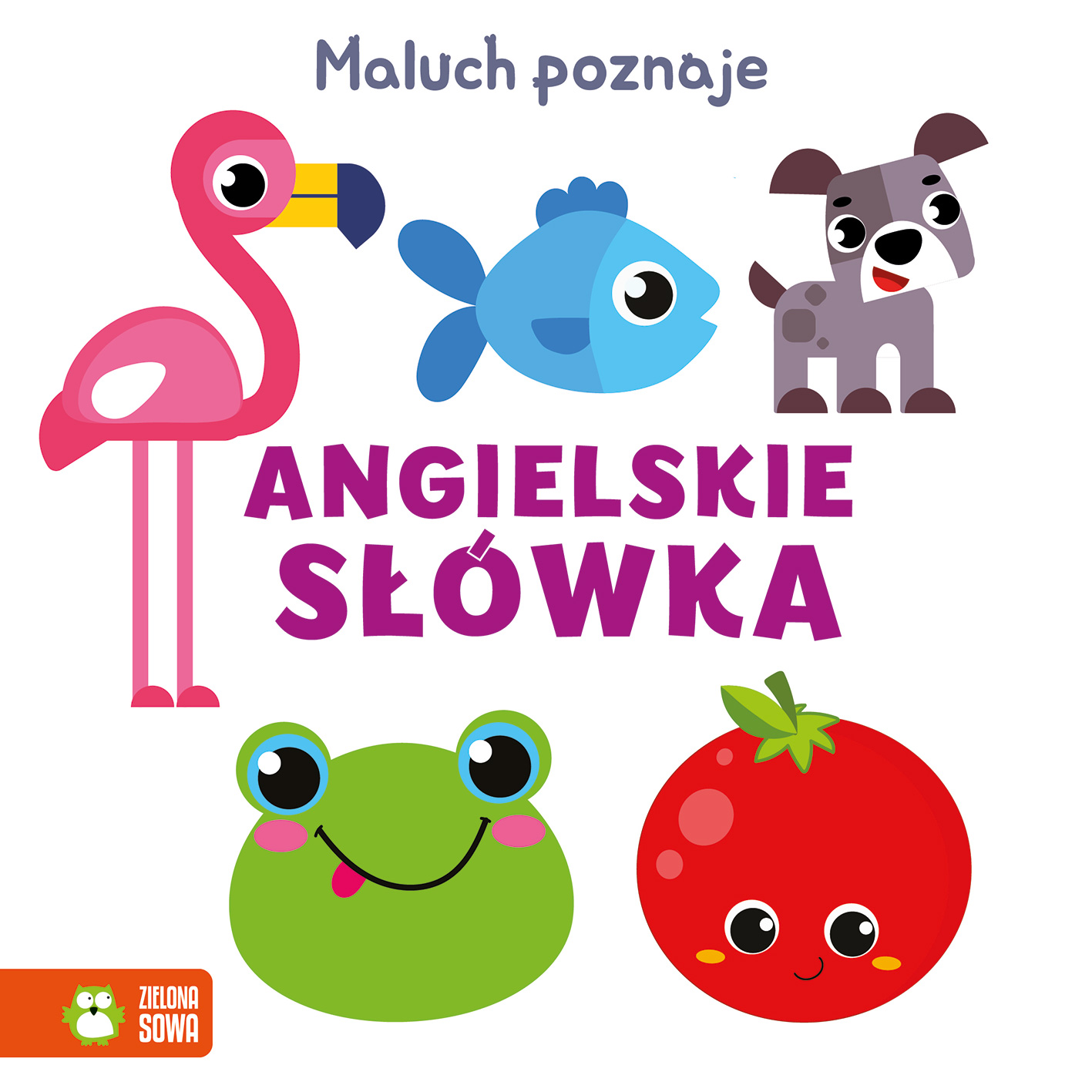 Image of Maluch poznaje Angielskie słówka
