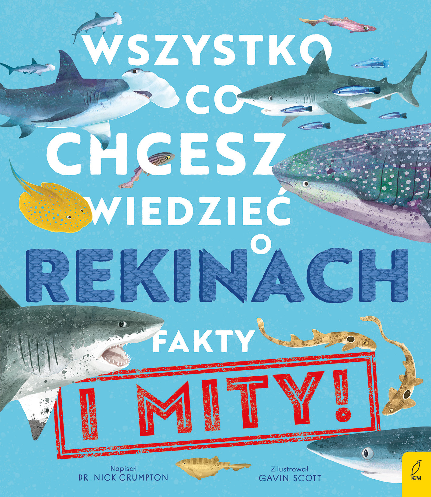Image of Wszystko co chcesz wiedzieć o rekinach Fakty i mity
