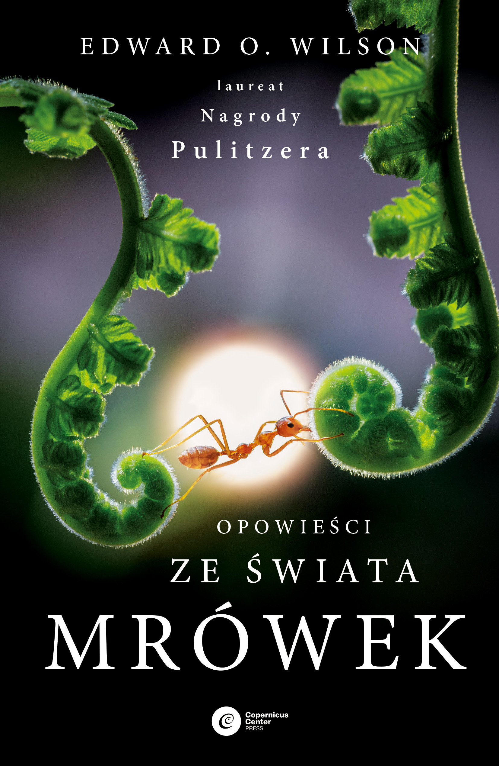 Image of Opowieści ze świata mrówek