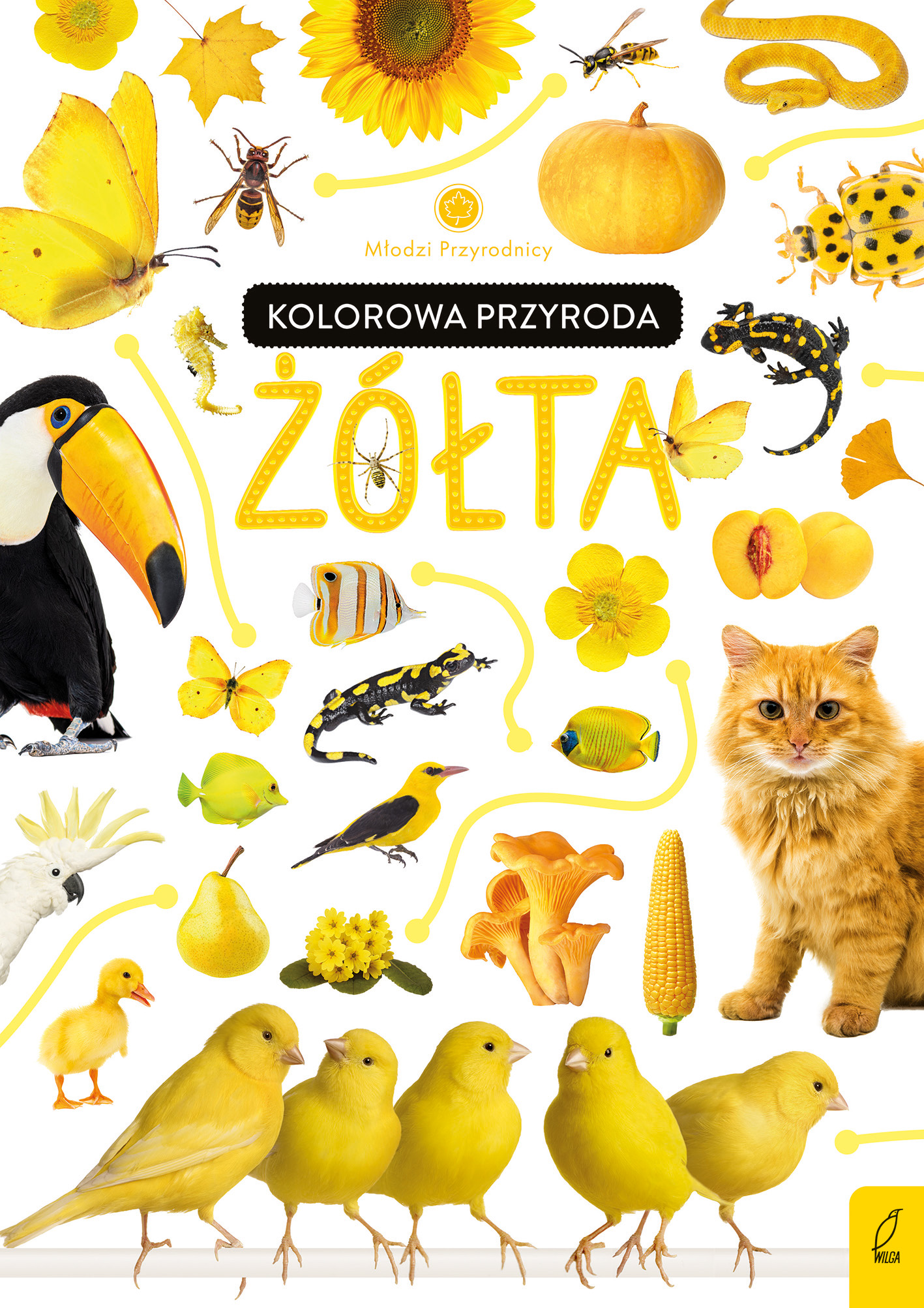 Image of Kolorowa przyroda. Żółta. Młodzi przyrodnicy