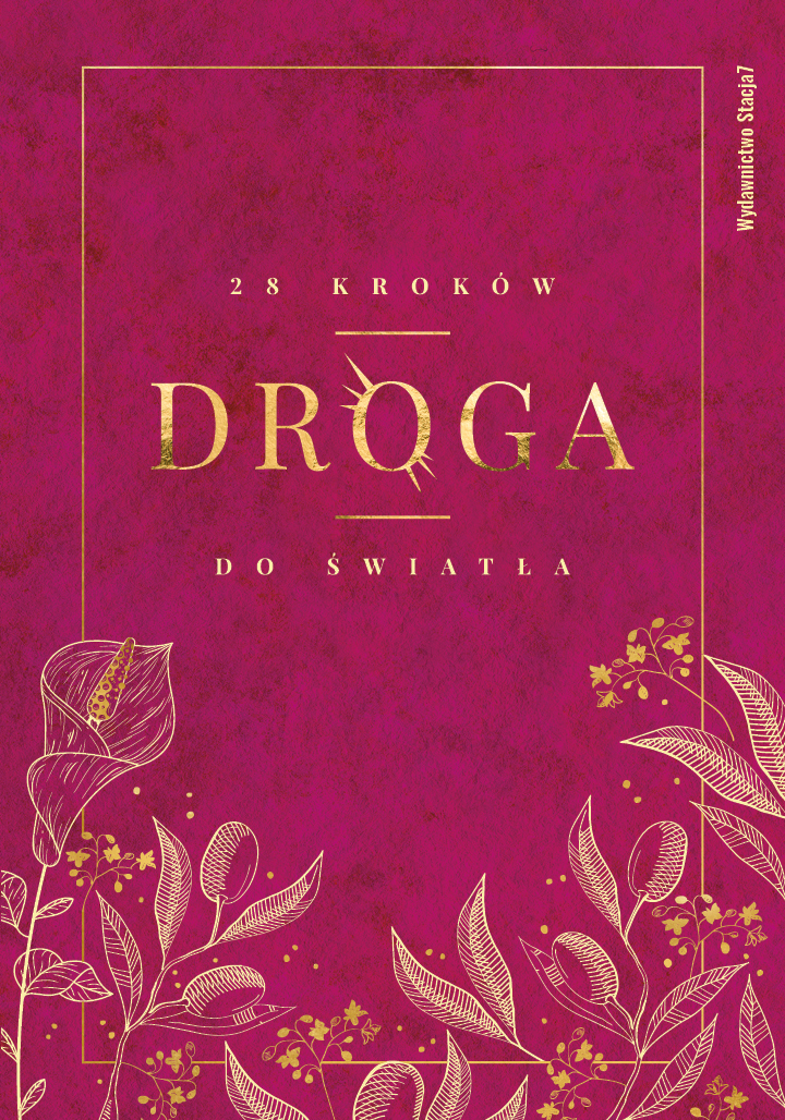 Image of Droga. 28 kroków do Światła