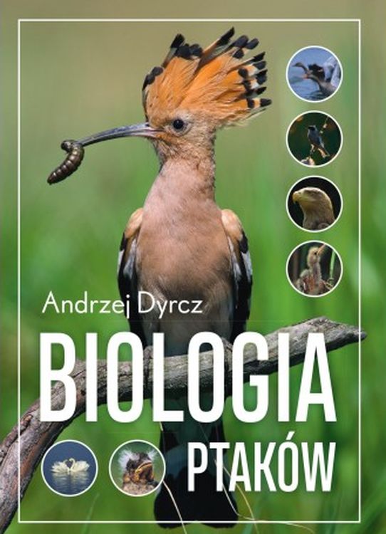 Image of Biologia ptaków