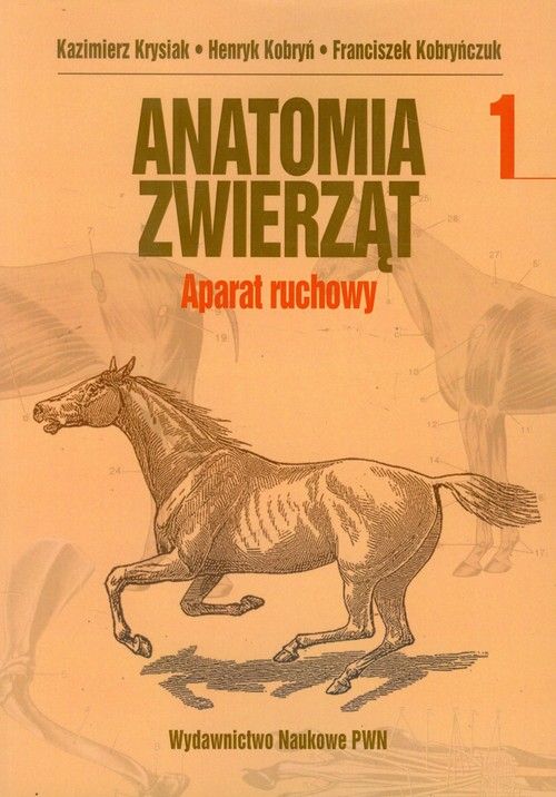 Image of AnaTomia zwierząt Tom i aparat ruchowy