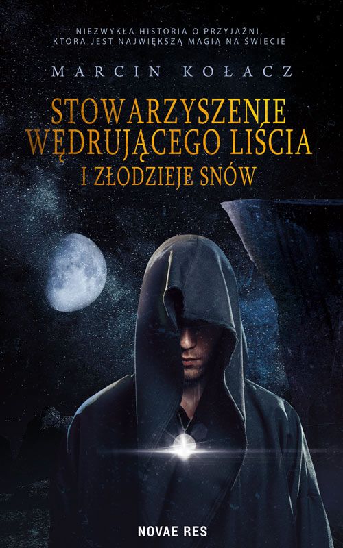 Image of Stowarzyszenie wędrującego liścia i złodzieje snów