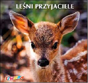 Image of Leśni przyjaciele