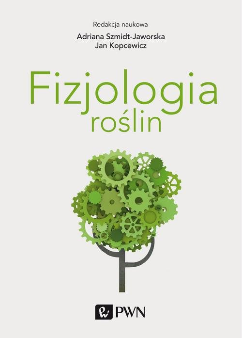 Image of Fizjologia roślin wyd. 4