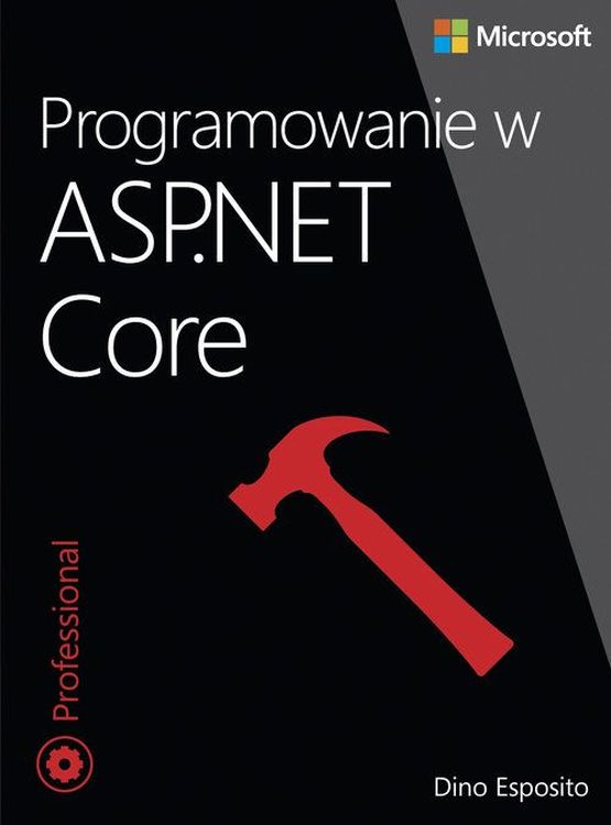 Image of Programowanie w asp net core