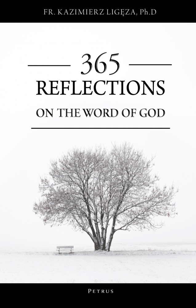 Image of 365 reflections on the word of God