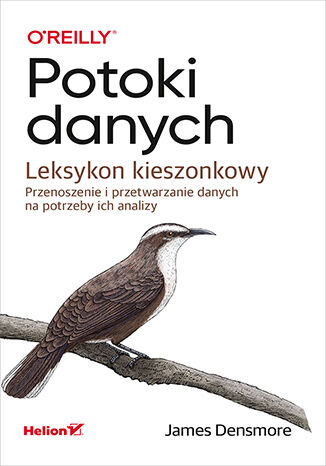 Image of Potoki danych. Leksykon kieszonkowy. Przenoszenie i przetwarzanie danych na potrzeby ich analizy