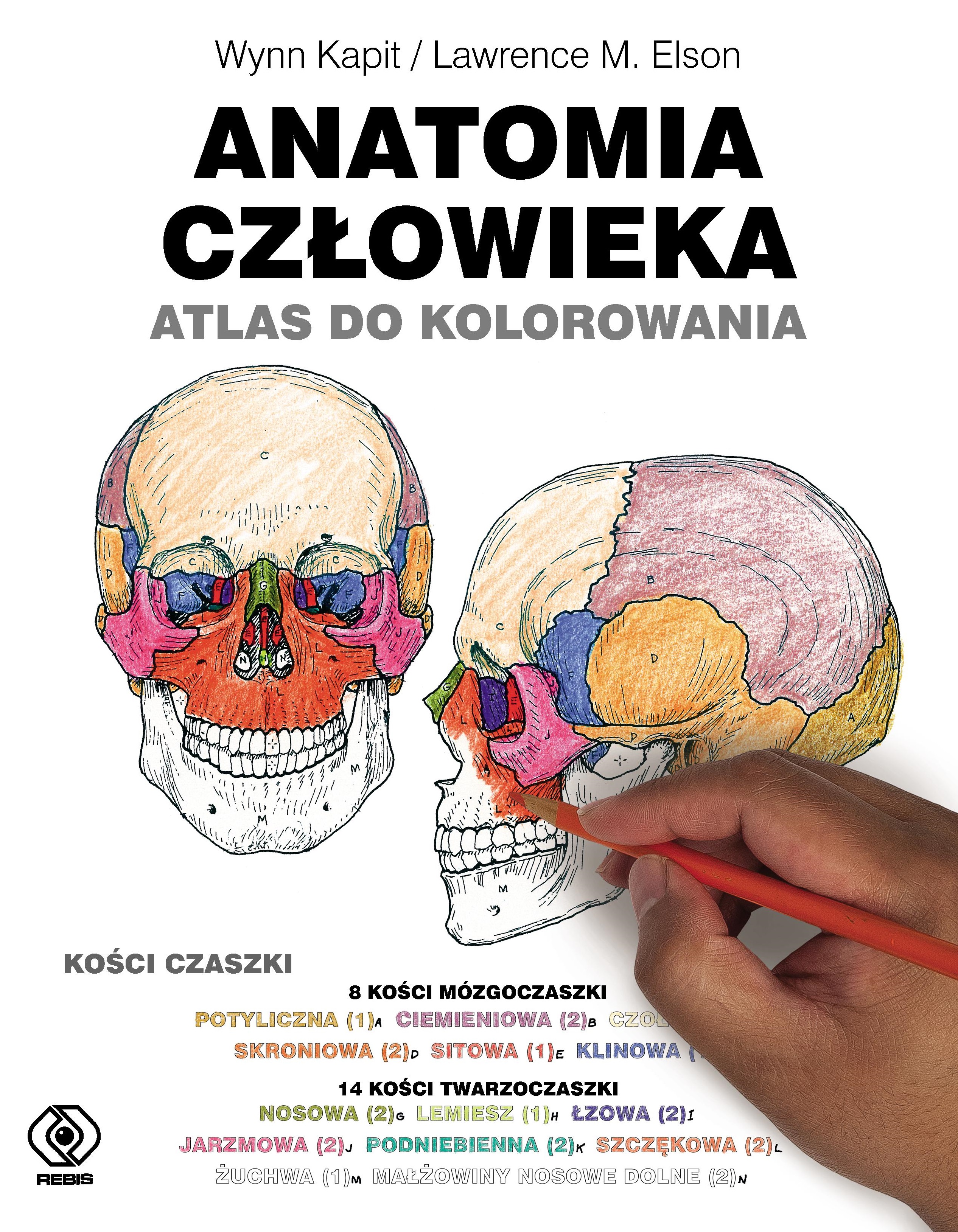 Image of Anatomia człowieka. Atlas do kolorowania