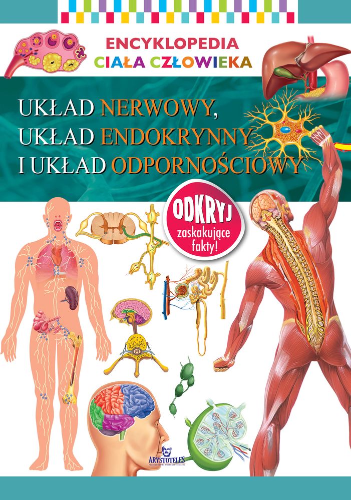 Image of Układ nerwowy układ endokrynny i układ odpornościowy. Encyklopedia ciała człowieka