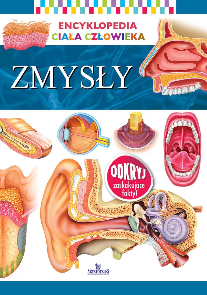 Image of Zmysły. Encyklopedia ciała człowieka