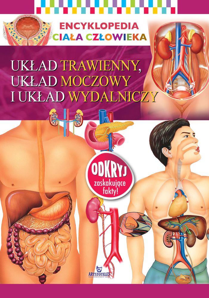 Image of Układ trawienny, układ moczowy i układ wydalniczy. Encyklopedia ciała człowieka