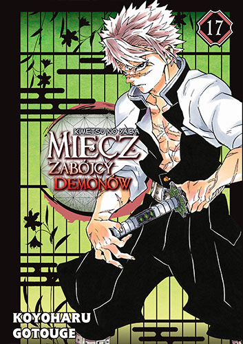 Image of Miecz zabójcy demonów. Tom 17