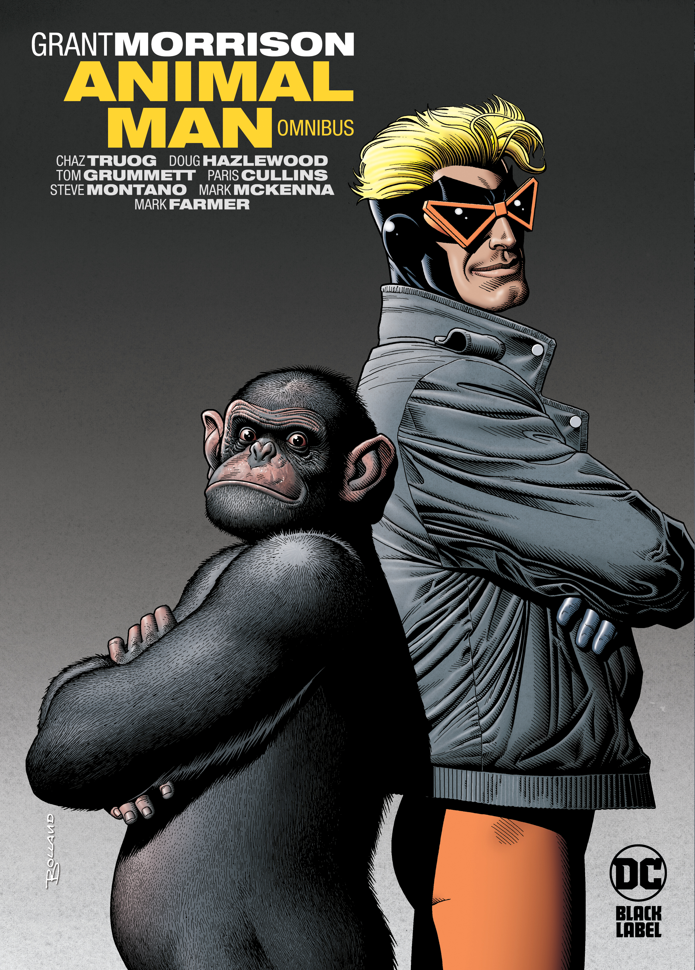 Image of Animal Man Omnibus
