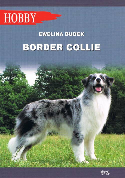 Image of Border Collie wyd. 2