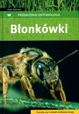 Image of Błonkówki przewodnik entomologa